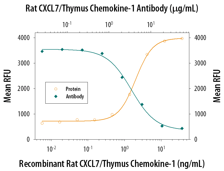 Recombinant Rat CXCL7/Thymus Chemokine-1 (Catalog # 1116-CK) chemo-attracts the BaF3 mouse pro-B cell line transfected with human CXCR2 in a dose-dependent manner (orange line). The amount of cells that migrated through to the lower chemotaxis chamber was measured by Resazurin (Catalog # AR002). Chemotaxis elicited by Recombinant Rat CXCL7/ Thymus Chemokine-1 (15 ng/mL) is neutralized (green line) by increasing concentrations of Mouse Anti-Rat CXCL7/ Thymus Chemokine-1 Monoclonal Antibody (Catalog # MAB1116). The ND50 is typically 4-20 µg/mL.