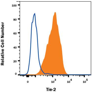 HUVEC human umbilical vein endothelial cells were stained with Mouse Anti-Human Tie-2 Monoclonal Antibody (Catalog # MAB3131, filled histogram) or isotype control antibody (Catalog # MAB002, open histogram), followed by Allophycocyanin-conjugated Anti-Mouse IgG Secondary Antibody (Catalog # F0101B).