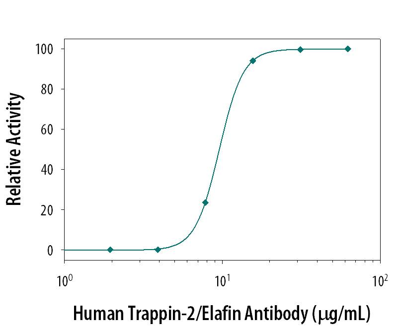 Recombinant Mouse Neutrophil Elastase/ELA2 (1 µg/mL, Catalog # 4517-SE) activity is measured in the presence of Recombinant Human Trappin-2/ Elafin (1 µg/mL, Catalog # 1747-PI) that has been pre-incubated with increasing concentrations of Goat Anti-Human Trappin-2/Elafin Antigen Affinity-purified Polyclonal Antibody (Catalog # AF1747). The ND50 is typically 15.6 µg/mL.