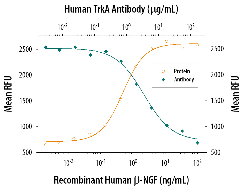 Recombinant Human  beta -NGF (Catalog # 256-GF) stimulates proliferation in the TF-1 human erythroleukemic cell line in a dose-dependent manner (orange line). Proliferation elicited by Recombinant Human  beta -NGF (5 ng/mL) is neutralized (green line) by increasing concent-rations of Goat Anti-Human TrkA Antigen Affinity-purified Poly-clonal Antibody (Catalog # AF175). The ND50 is typically 3-12 µg/mL.