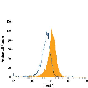 HeLa human cervical epithelial carcinoma cell line was stained with Sheep Anti-Human Twist-1 APC-conjugated Polyclonal Antibody (Catalog # IC6230A, filled histogram) or isotype control antibody (Catalog # IC016A, open histogram). To facilitate intracellular staining, cells were fixed with Flow Cytometry Fixation Buffer (Catalog # FC004) and permeabilized with Flow Cytometry Permeabilization/Wash Buffer I (Catalog # FC005). View our protocol for Staining Intracellular Molecules.