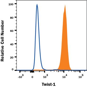 A549 human lung carcinoma cell line was stained with Mouse Anti-Human Twist-1 Monoclonal Antibody (Catalog # MAB6230R, filled histogram) or isotype control antibody (Catalog # MAB002, open histogram) followed by PE-conjugated Anti-Mouse IgG Secondary Antibody (Catalog # F0102B). To facilitate intracellular staining, cells were fixed and permeabilized with FlowX FoxP3 Fixation & Permeabilization Buffer Kit (Catalog # FC012). View our protocol for Staining Intracellular Molecules.