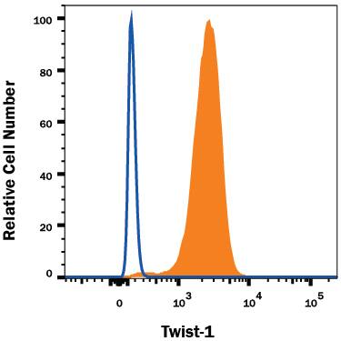 Human peripheral blood mononuclear cell (PBMCs) were stained with Mouse Anti-Human Twist-1 Monoclonal Antibody (Catalog # MAB6230, filled histogram) or isotype control antibody (Catalog # MAB002, open histogram), followed by Phycoerythrin-conjugated Anti-Mouse IgG Secondary Antibody (Catalog # F0102B). To facilitate intracellular staining, cells were fixed with Flow Cytometry Fixation Buffer (Catalog # FC004) and permeabilized with Flow Cytometry Permeabilization/Wash Buffer I (Catalog # FC005). View our protocol for Staining Intracellular Molecules.