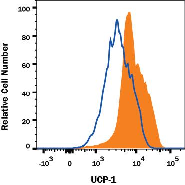 3T3-L1 mouse embryonic fibroblast adipose-like cell line was stained with Mouse Anti-Human/Mouse UCP1 Monoclonal Antibody (Catalog # MAB6158, filled histogram) or isotype control antibody (Catalog # MAB0041, open histogram) followed by anti-Mouse IgG PE-conjugated Secondary Antibody (Catalog # F0102B). To facilitate intracellular staining, cells were fixed with Flow Cytometry Fixation Buffer (Catalog # FC004) and permeabilized with Flow Cytometry Permeabilization/Wash Buffer I (Catalog # FC005). View our protocol for Staining Intracellular Molecules.