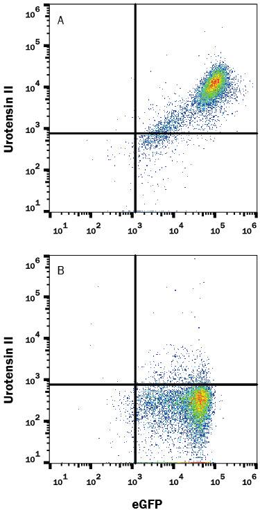 Flow Cytometry Urotensin-II R/GPR14 Antibody (443707) [Unconjugated]