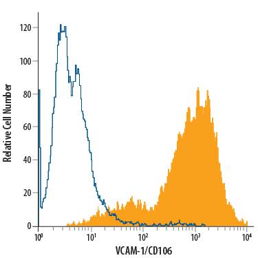 HuT 78 human cutaneous T cell lymphoma cell line was stained with Mouse Anti-Human VCAM-1/CD106 PE-conjugated Monoclonal Antibody (Catalog # FAB5649P, filled histogram) or isotype control antibody (Catalog # IC003P, open histogram). View our protocol for Staining Membrane-associated Proteins.