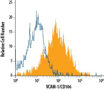 bEnd.3 mouse endothelioma cell line was stained with Rat Anti-Mouse VCAM-1/CD106 Monoclonal Antibody (Catalog # MAB6432, filled histogram) or isotype control antibody (Catalog # MAB006, open histogram), followed by Allophycocyanin-conjugated Anti-Rat IgG Secondary Antibody (Catalog # F0113).
