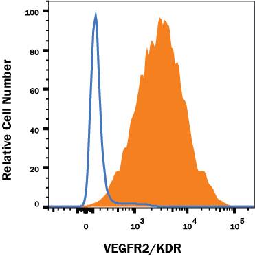 HUVEC human umbilical vein endothelial cells were stained with Mouse Anti-Human VEGFR2/KDR/Flk-1 Monoclonal Antibody (Catalog # MAB3572R, filled histogram) or isotype control antibody (Catalog # MAB002, open histogram), followed by Phycoerythrin-conjugated Anti-Mouse IgG Secondary Antibody (Catalog # F0102B). View our protocol for Staining Membrane-associated Proteins.