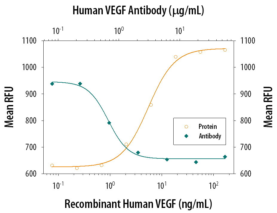 Recombinant Human VEGF165(Catalog # 293-VE) stimulates proliferation in HUVEC human umbilical vein endothelial cells in a dose-dependent manner (orange line). Proliferation elicited by Recombinant Human VEGF165(10 ng/mL) is neutralized (green line) by increasing concentrations of Human VEGF 165 Polyclonal Antibody (Catalog # AB-293-NA). The ND50 is typically 0.600-7.20 µg/mL.