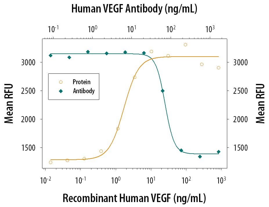 Recombinant Human VEGF165 (293-VE) stimulates proliferation in HUVEC human umbilical vein endothelial cells in a dose-dependent manner (orange line). Proliferation elicited by Recombinant Human VEGF165 (10 ng/mL) is neutralized (green line) by increasing concentrations of Goat Anti-Human VEGF165 Antigen Affinity-purified Polyclonal Antibody (Catalog # AF-293-NA). The ND50 is typically 0.02‑0.12 µg/mL.