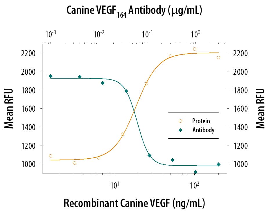 Recombinant Canine VEGF (Catalog # 1603-CV) stimulates proliferation in HUVEC human umbilical vein endothelial cells in a dose-dependent manner (orange line). Proliferation elicited by Recombinant Canine VEGF (15 ng/mL) is neutralized (green line) by increasing concentrations of Goat Anti-Canine VEGF164Antigen Affinity-purified Polyclonal Antibody (Catalog # AF1603). The ND50 is typically 0.04-0.10 µg/mL.