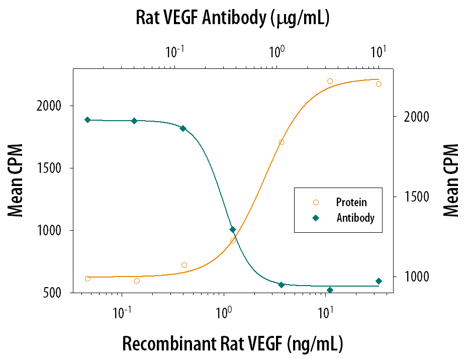 Recombinant Rat VEGF164(Catalog # 564-RV) stimulates proliferation in HUVEC human umbilical vein endothelial cells in a dose-dependent manner (orange line). Proliferation elicited by Recombinant Rat VEGF164(20 ng/mL) is neutralized (green line) by increasing concentrations of Goat Anti-Rat VEGF 164 Antigen Affinity-purified Polyclonal Antibody (Catalog # AF564). The ND50 is typically 0.2-0.6 µg/mL.
