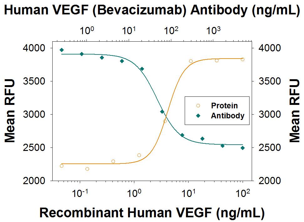 Recombinant Human VEGF165(Catalog # 293-VE) stimulates proliferation in HUVEC human umbilical vein endothelial cells in a dose-dependent manner (orange line) as measured by Resazurin (Catalog # AR002). Proliferation elicited by Recombinant Human VEGF165(10 ng/mL) is neutralized (green line) by increasing concentrations of Human Anti-Human VEGF (Bevacizumab Biosimilar) Monoclonal Antibody (Catalog # MAB9947). The ND50 is typically 10-80 ng/mL.