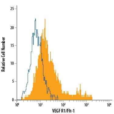 HUVEC human umbilical vein endothelial cells was stained with Mouse Anti-Human VEGFR1/Flt-1 Monoclonal Antibody (Catalog # MAB321, filled histogram) or isotype control antibody (Catalog # MAB002, open histogram), followed by Phycoerythrin-conjugated Anti-Mouse IgG Secondary Antibody (Catalog # F0102B).