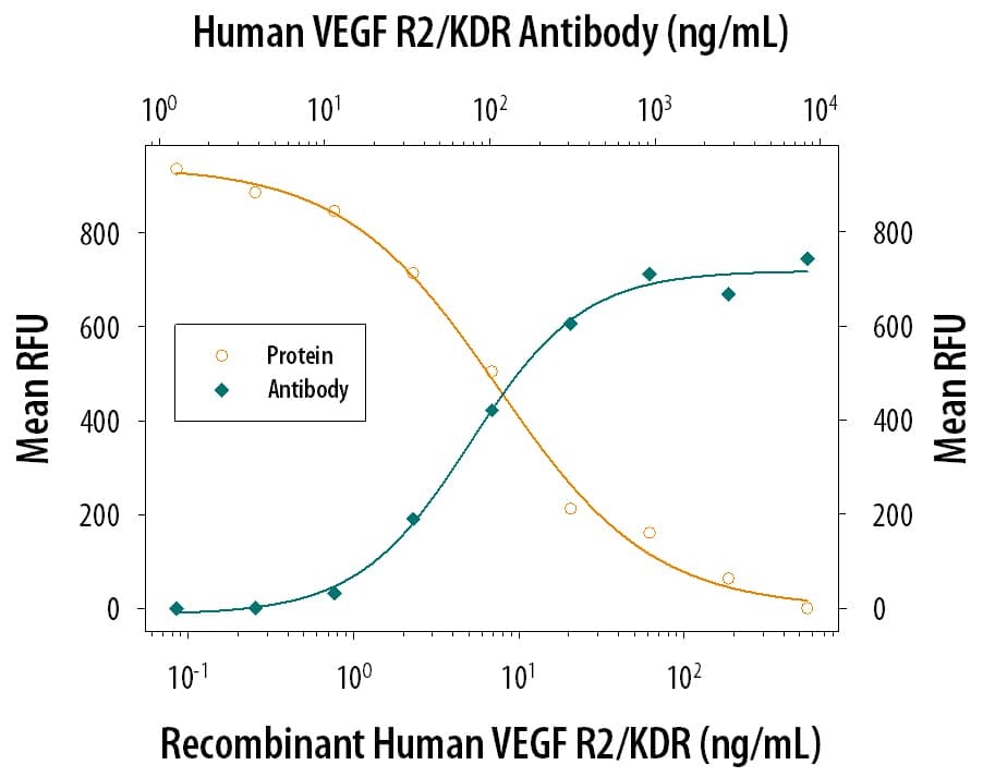 Recombi-nant Human VEGFR2/KDR/Flk-1 Fc Chi-mera (Catalog # 357-KD) inhibits Recombinant Human VEGF165(Catalog # 293-VE) induced proliferation in HUVEC human umbilical vein endothelial cells in a dose-dependent manner (orange line). Inhibition of Recombinant Human VEGF165(5 ng/mL) activity elicited by Recombinant Human VEGFR2/KDR/Flk-1 Fc Chi-mera (30 ng/mL) is neutralized (green line) by increasing concentrations of Goat Anti-Human VEGFR2/KDR/Flk-1 Antigen Affinity-purified Polyclonal Antibody (Catalog # AF357). The ND50 is typically 0.05-0.25 µg/mL.