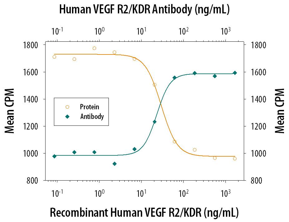 Recombinant Human VEGFR2/KDR Fc Chimera (Catalog # 357-KD) inhibits Recombinant Human VEGF165(Catalog # 293-VE) induced proliferation in HUVEC human umbilical vein endothelial cells in a dose-dependent manner (orange line). Inhibition of Recombinant Human VEGF165(10 ng/mL) activity elicited by Recombinant Human VEGFR2/KDR Fc Chimera (50 ng/mL) is neutralized (green line) by increasing concentrations of Mouse Anti-Human VEGFR2/KDR Monoclonal Antibody (Catalog # MAB3572). The ND50 is typically 10-50 ng/mL.