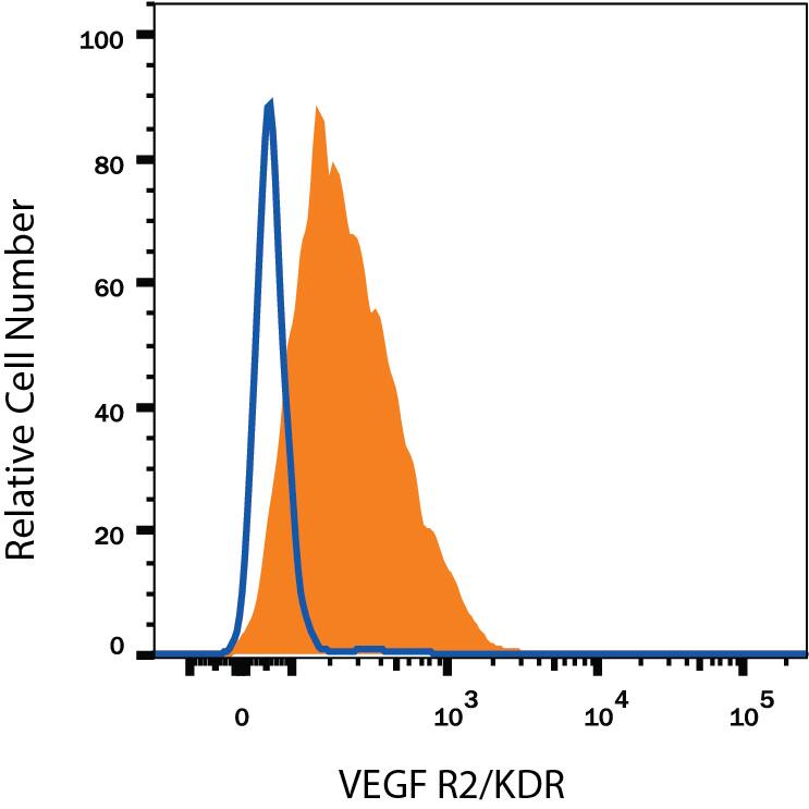 HUVEC human umbilical vein endothelial cells were stained with Mouse Anti-Human VEGFR2/KDR/Flk-1 Monoclonal Antibody (Catalog # MAB3572, filled histogram) or isotype control antibody (Catalog # MAB002, open histogram), followed by Phycoerythrin-conjugated Anti-Mouse IgG Secondary Antibody (Catalog # F0102B).