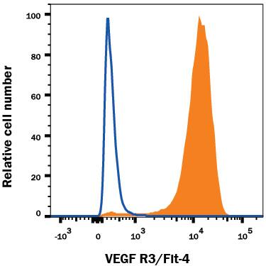 bEnd.3 cells, a mouse endothelioma cell line, was stained with Goat Anti-Mouse VEGFR3/Flt-4 Antigen Affinity-purified Polyclonal Antibody (Catalog # AF743, filled histogram) or isotype control antibody (Catalog # AB-108-C, open histogram), followed by PE-conjugated Anti-Goat IgG Secondary Antibody (Catalog # F0107).