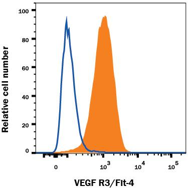 bEnd.3 mouse endothelioma cell line was stained with Goat Anti-Mouse VEGF R3/Flt-4 APC-conjugated Antigen Affinity-purified Polyclonal Antibody (Catalog # FAB743A, filled histogram) or isotype control antibody (Catalog # IC108A, open histogram). View our protocol for Staining Membrane-associated Proteins.