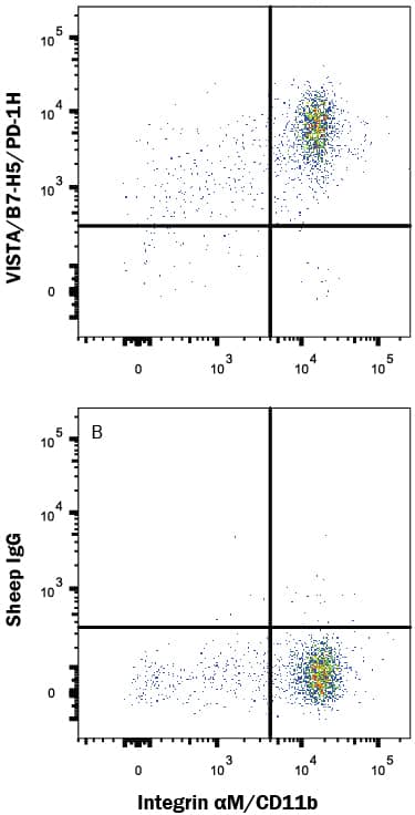 Human peripheral blood mononuclear cells (PBMCs) were stained with Mouse Anti-Human CD11b/Integrin alpha M APC-conjugated Monoclonal Antibody (Catalog # FAB16991A) and either (A) Sheep Anti-Human VISTA/B7-H5/PD-1H Antigen Affinity-purified Polyclonal Antibody (Catalog # AF7126) or (B) Normal Sheep IgG Control (Catalog # 5-001-A) followed by Phycoerythrin-conjugated Anti-Sheep IgG Secondary Antibody (Catalog # F0126). View our protocol for Staining Membrane-associated Proteins.