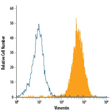 A172 human glioblastoma cell line was stained with Rat Anti-Human/Mouse/Rat Vimentin APC-conjugated Monoclonal Antibody (Catalog # IC2105A, filled histogram) or isotype control antibody (Catalog # IC006A, open histogram). To facilitate intracellular staining, cells were fixed with Flow Cytometry Fixation Buffer (Catalog # FC004) and permeabilized with Flow Cytometry Permeabilization/Wash Buffer I (Catalog # FC005). View our protocol for Staining Intracellular Molecules.