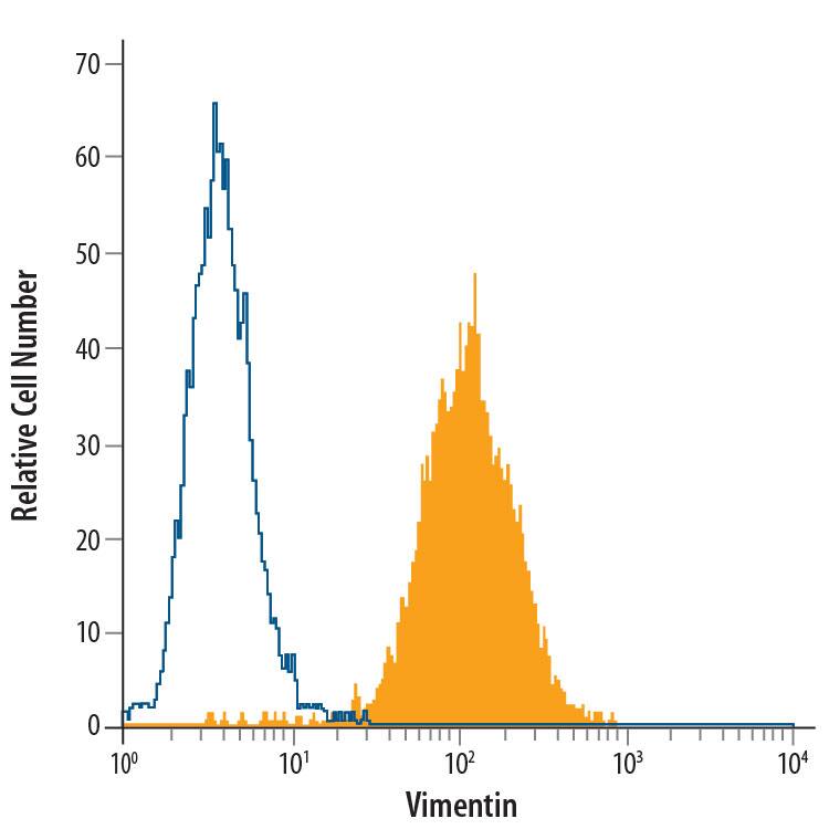 A172 human glioblastoma cell line was stained with Rat Anti-Human/Mouse/Rat Vimentin Alexa Fluor® 488-conjugated Monoclonal Antibody (Catalog # IC2105G, filled histogram) or isotype control antibody (Catalog # IC006G, open histogram). To facilitate intracellular staining, cells were fixed with Flow Cytometry Fixation Buffer (Catalog # FC004) and permeabilized with Flow Cytometry Permeabilization/Wash Buffer I (Catalog # FC005). View our protocol for Staining Intracellular Molecules.