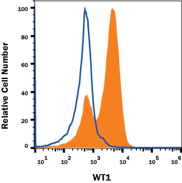 K562 Human chronic myelogenous leukemia cell line was stained with Mouse Anti-Human WT1 Monoclonal Antibody (Catalog # MAB57291, filled histogram) or Mouse IgG1Isotype Control Antibody (Catalog # MAB002, open histogram), followed by Allophycocyanin-conjugated Anti-Mouse IgG Secondary Antibody (Catalog # F0101B). To facilitate intracellular staining, cells were fixed and permeabilized with FlowX FoxP3 Fixation & Permeabilization Buffer Kit (Catalog # FC012). View our protocol for Staining Intracellular Molecules.