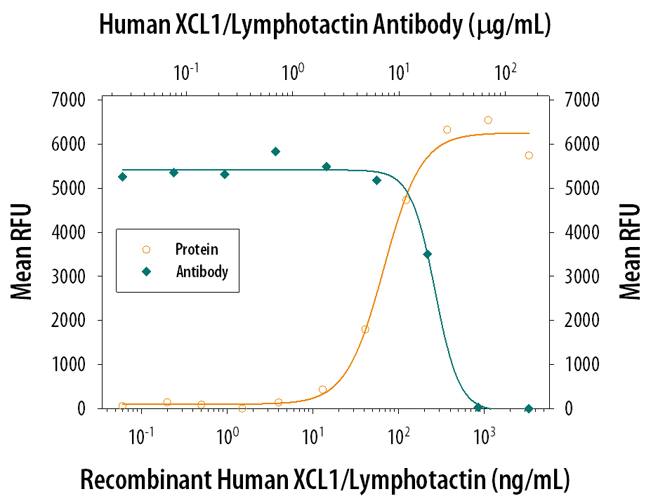 Recombinant Human XCL1/ Lymphotactin (695-LT) chemoattracts the BaF3 mouse pro-B cell line transfected with human XCR1 in a dose dependent manner (orange line). The amount of cells that migrated through to the lower chemotaxis chamber was measured by Resazurin (AR002). Chemotaxis elicited by Recombinant Human XCL1/ Lymphotactin (0.5 µg/mL) is neutralized (green line) by increasing concentrations of Goat Anti-Human XCL1/ Lymphotactin Antigen Affinity-purified Polyclonal Antibody (Catalog # AF695). The ND50 is typically 3.00-30.0 µg/mL.