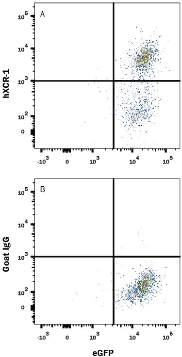 Flow Cytometry XCR1/CCXCR1 Antibody [Unconjugated]