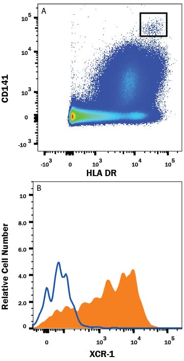 CD141+and HLA-DR+human peripheral blood monocytes were isolated by staining with (A) Mouse Anti-Human HLA-DR Fluorescein-Conjugated Monoclonal Antibody (Catalog # FAB4869F) and Mouse Anti-Human Thrombomodulin/BDCA-3 (CD141) APC-Conjugated Monoclonal Antibody (Catalog # FAB3947A). Isolated cells were then stained with (B) Rabbit Anti-Human XCR1 Monoclonal Antibody (Catalog # MAB8571, filled histogram) or isotype control antibody (Catalog # AB-105-C, open histogram), followed by Phycoerythrin-conjugated Anti-Rabbit IgG Secondary Antibody (Catalog # F0110).