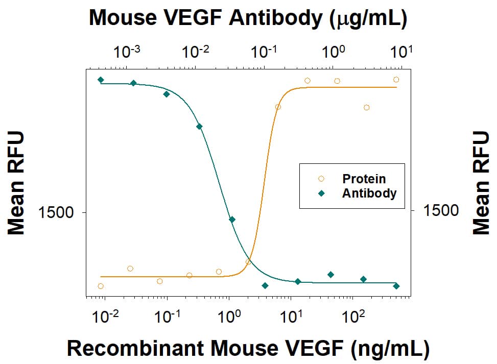 Recombinant Mouse VEGF164 (Catalog # 493-MV) stimulates proliferation in HUVEC human umbilical vein endothelial cells in a dose-dependent manner (orange line), as measured by Resazurin (AR002). Proliferation elicited by Recombinant Mouse VEGF164 (10 ng/mL) is neutralized (green line) by increasing concentrations of Goat Anti-Mouse VEGF164 Antigen Affinity-purified Polyclonal Antibody (Catalog # AF-493-NA). The ND50 is typically 164 and Neutralization by Mouse VEGF Antibody.