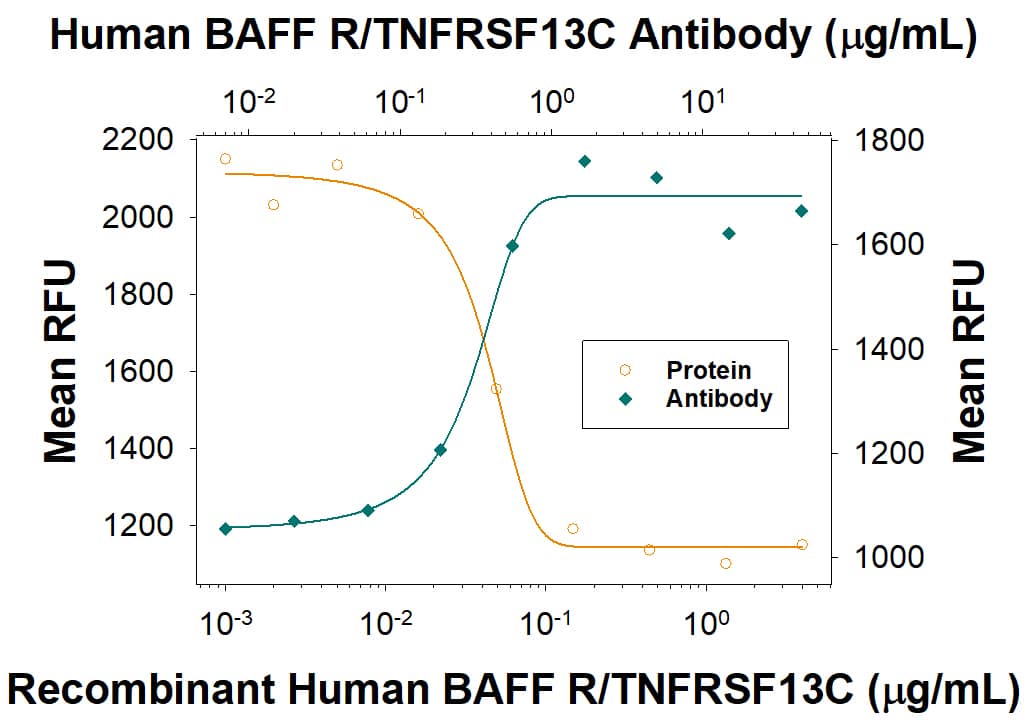 Neutralization BAFFR/TNFRSF13C Antibody [Unconjugated]