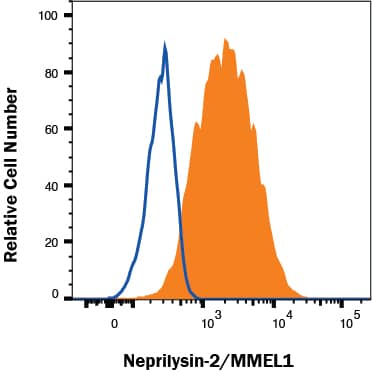 Flow Cytometry Neprilysin-2/MMEL1 Antibody [Unconjugated]
