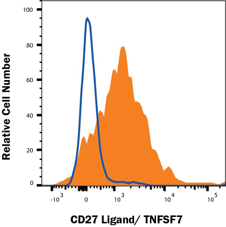 HEK293 human embryonic kidney cell line transfected with human CD27 Ligand/TNFSF7 (filled histogram) or irrelevant protein (open histogram) was stained with Mouse Anti-Human CD27 Ligand/TNFSF7 Monoclonal Antibody (Catalog # AF2738) followed by anti-goat PE-conjugated secondary antibody (F0107). Staining was performed using our Staining Membrane-associated Proteins protocol. 