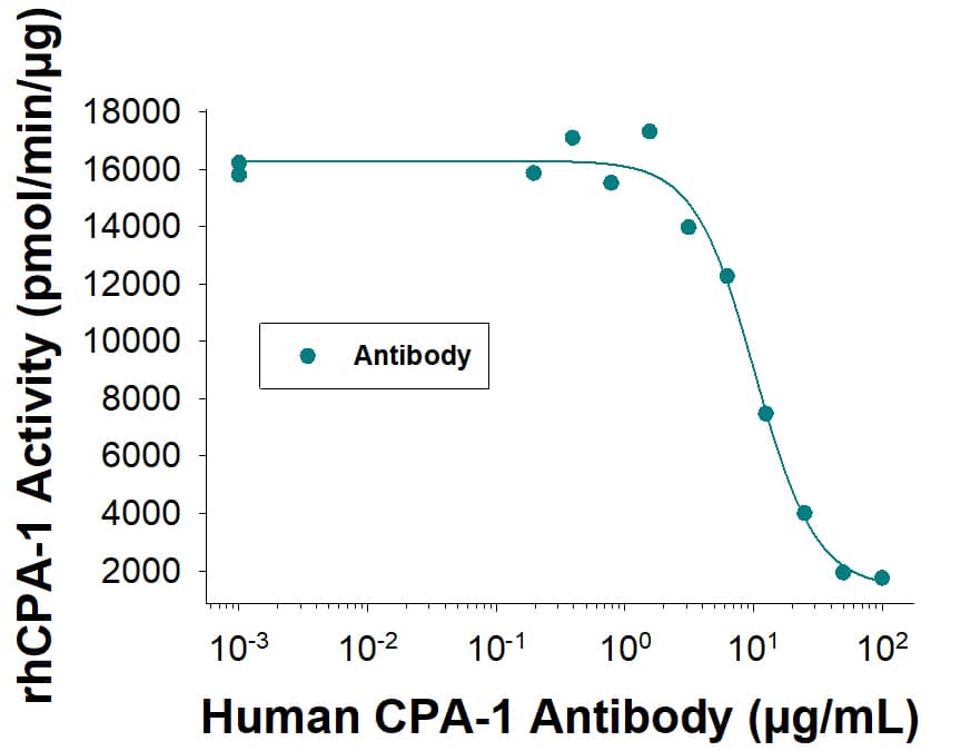 Measured by its ability to neutralize Recombinant Human Carboxypeptidase A1/CPA1 (0.1 µg/mL, 2856-ZN) cleavage of the fluorogenic peptide substrate Ac-Phe-Thiaphe-OH (100 µM).  The Neutralization Dose (ND50) is <15 µg/mL.