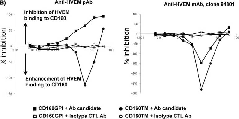 Differential inhibition of HVEM/CD160 binding with benchmark tool antibodies. TRF assay measuring the potency of different antibodies to inhibit the binding of recombinant human HVEM-Fc chimera to CD160+ CHO-K1 cells. A) CD160 monoclonal antibodies inhibit binding of HVEM-Fc to both CD160-GPI and CD160-TM isoforms. B) Polyclonal HVEM (left panel) and monoclonal HVEM (right panel) antibodies both enhance binding of HVEM-Fc to CD160-TM isoform. The polyclonal anti-HVEM inhibits HVEM-Fc binding to CD160-GPI (left panel). Antibody concentrations are plotted on the X axis whereas, the calculated percentage of inhibition of binding is plotted on the Y axis. Matched isotype control antibody for each individual antibody candidate was also used in the assay (empty circles and squares). CTL = control, mAb = monoclonal antibody, pAb = polyclonal antibody. Image collected and cropped by CiteAb from the following open publication (//pubmed.ncbi.nlm.nih.gov/25179432), licensed under a CC-BY license. Not internally tested by R&D Systems.