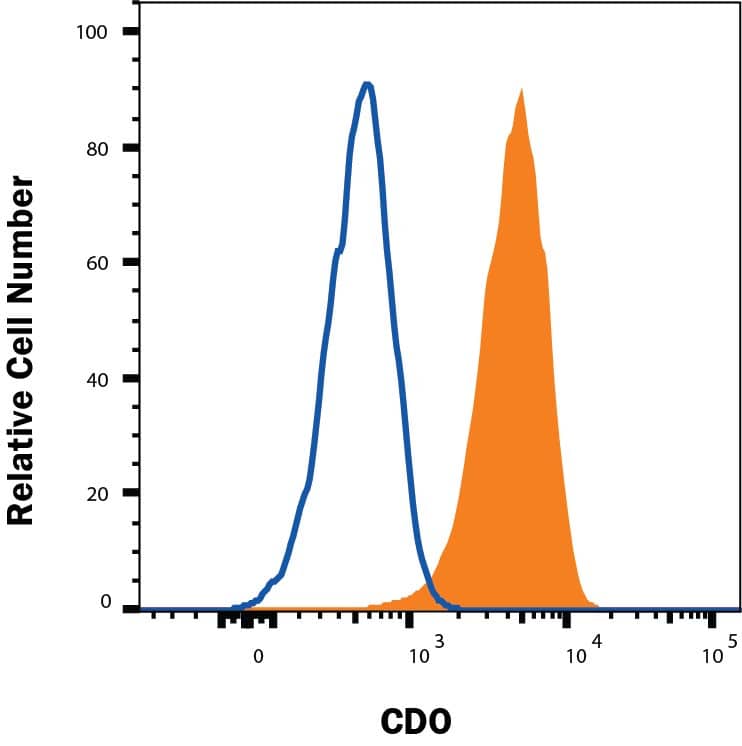 Jurkat cells were stained with Sheep Anti-Human CDO Antigen Affinity-purified Polyclonal Antibody (Catalog # AF4384, filled histogram) or isotype control antibody (Catalog # 5-001-A, open histogram), followed by Phycoerythrin-conjugated Anti-Sheep IgG Secondary Antibody (Catalog # F0126). View our protocol for Staining Membrane-associated Proteins.