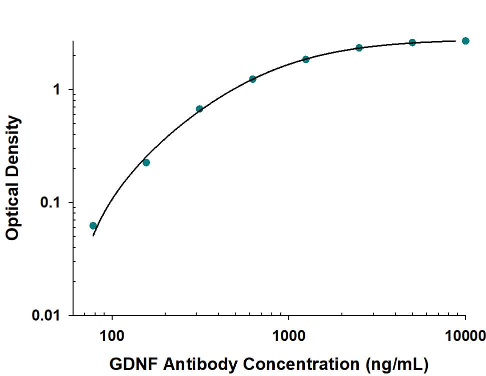 Recombinant Human GDNF protein was serially diluted 2-fold and captured by Mouse Anti-Human GDNF Monoclonal Antibody (MAB2122) coated on a Clear Polystyrene Microplate (Catalog # DY990). Goat Anti-Human/Rat GDNF Antigen Affinity-purified Polyclonal Antibody (Catalog # AF512) was biotinylated and incubated with the protein captured on the plate. Detection of the standard curve was achieved by incubating Streptavidin-HRP (Catalog # DY998) followed by Substrate Solution (Catalog # DY999) and stopping the enzymatic reaction with Stop Solution (Catalog # DY994).