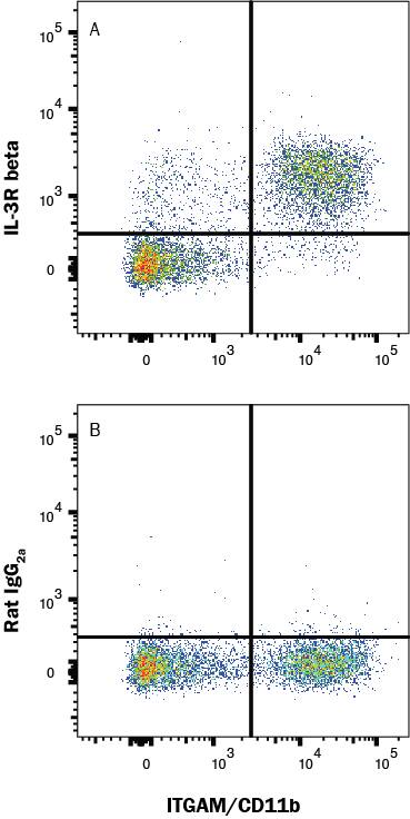 Mouse bone marrow cells were stained with Rat Anti-Mouse CD11b/Integrin alpha M PE‑conjugated Monoclonal Antibody (Catalog # FAB1124P) and either (A) Goat Anti-Mouse IL-3R beta Antigen Affinity-purified Polyclonal Antibody (Catalog # AF549) or (B) isotype control antibody (Catalog # AB-108-C) followed by Allophycocyanin-conjugated Anti-Goat IgG Secondary Antibody (Catalog # F0108). View our protocol for Staining Membrane-associated Proteins. 