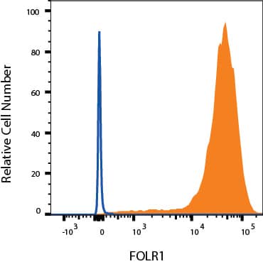 HeLa cells were stained with Goat Anti-Human FOLR1 Antigen Affinity-purified Polyclonal Antibody (Catalog # AF5646, filled histogram) or isotype control antibody (Catalog # 4-001-A, open histogram) followed by Phycoerythrin-conjugated Anti-Goat IgG Secondary Antibody (Catalog # F0107). View our protocol for Staining Membrane-associated Proteins. 