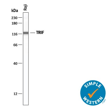 Simple Western TRIF/TICAM1 Antibody [Unconjugated]