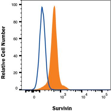Jurkat cells were stained with Goat Anti-Human Survivin Antigen Affinity-purified Polyclonal Antibody (Catalog # AF6471, filled histogram) or isotype control antibody (Catalog # AB-108-C, open histogram) followed by Phycoerythrin-conjugated Anti-Goat IgG Secondary Antibody (Catalog # F0107). To facilitate intracellular staining, cells were fixed with Flow Cytometry Fixation Buffer (Catalog # FC004) and permeabilized with Flow Cytometry Permeabilization/Wash Buffer I (Catalog # FC005). View our protocol for Staining Intracellular Molecules.