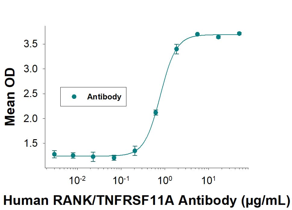 Human RANK/TNFRSF11A Antibody (Catalog # AF683) induces osteoclast differentiation of RAW 264.7 mouse monocyte/macrophage cells in the presence of recombinant mouse M-CSF (416ML). The ED50 for this effect is typically 0.0750 – 1.50 μg/mL.