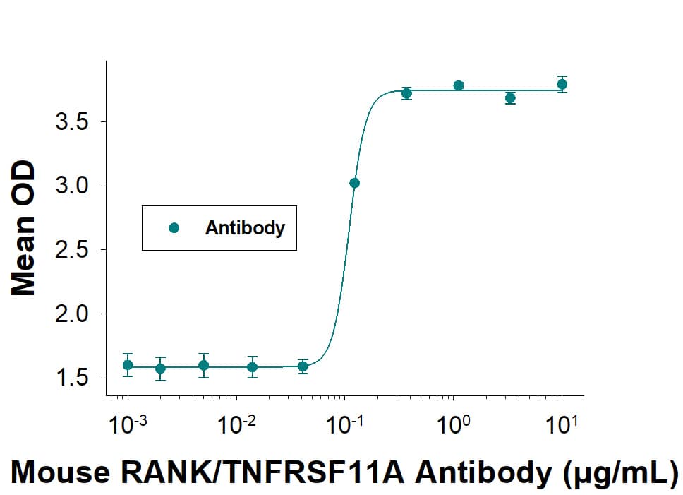 Mouse RANK/TNFRSF11A Antibody (Catalog # AF692) induces osteoclast differentiation of RAW 264.7 mouse monocyte/macrophage cells in the presence of recombinant mouse M-CSF (416ML). The ED50 for this effect is typically 0.0200 – 0.400 μg/mL.