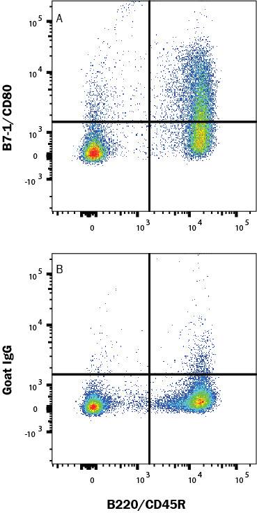 <b>Biological Strategies Validation. </b>Mouse B6 splenocytes treated with 200 ng/mL LPS for 48 hr were stained with (A) Goat Anti-Mouse B7-1/CD80 Antigen Affinity-purified Polyclonal Antibody (Catalog # AF740) or (B) Goat IgG control antibody (AB-108-C) followed by Phycoerythrin-conjugated Anti-Goat IgG Secondary Antibody (F0107) and Rat Anti-Mouse B220/CD45R Alexa Fluor® 488-conjugated Monoclonal Antibody (FAB1217G). View our protocol for Staining Membrane-associated Proteins.