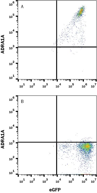 Flow Cytometry alpha-1A Adrenergic R/ADRA1A Antibody (518508) [Unconjugated]