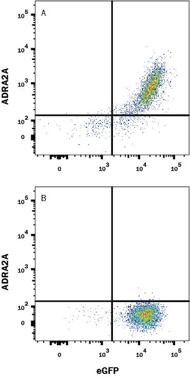 Flow Cytometry alpha-2A Adrenergic R/ADRA2A Antibody (1006614) [Unconjugated]