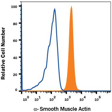 Human peripheral blood monocytes were stained with Mouse Anti-Human a-Smooth Muscle Actin APC-conjugated Monoclonal Antibody (Catalog # IC1420A, filled histogram) or isotype control antibody (Catalog # IC003A, open histogram). To facilitate intracellular staining, cells were fixed with Flow Cytometry Fixation Buffer (Catalog # FC004) and permeabilized with Flow Cytometry Permeabilization/Wash Buffer I (Catalog # FC005). View our protocol for Staining Intracellular Molecules.