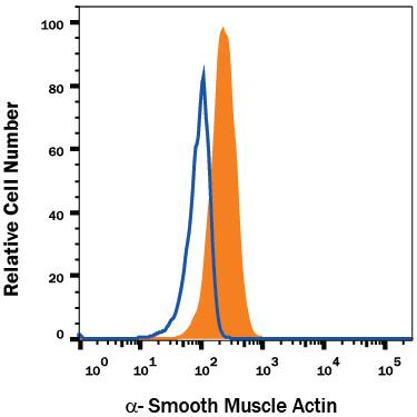 Human peripheral blood monocytes were stained with Mouse Anti-Human a-Smooth Muscle Actin PerCP-conjugated Monoclonal Antibody (Catalog # IC1420C, filled histogram) or isotype control antibody (Catalog # IC003C, open histogram). To facilitate intracellular staining, cells were fixed with Flow Cytometry Fixation Buffer (Catalog # FC004) and permeabilized with Flow Cytometry Permeabilization/Wash Buffer I (Catalog # FC005). View our protocol for Staining Intracellular Molecules.