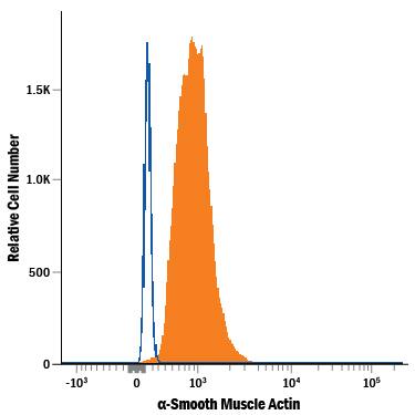 Human peripheral blood mononuclear cell (PBMC) Monocytes were stained with Mouse Anti-Human a-Smooth Muscle Actin Alexa Fluor® 594-conjugated Monoclonal Antibody (Catalog # IC1420T, filled histogram) or isotype control antibody (Catalog # IC003T, open histogram). To facilitate intracellular staining, cells were fixed with Flow Cytometry Fixation Buffer (Catalog # FC004) and permeabilized with Flow Cytometry Permeabilization/Wash Buffer I (Catalog # FC005). View our protocol for Staining Intracellular Molecules.